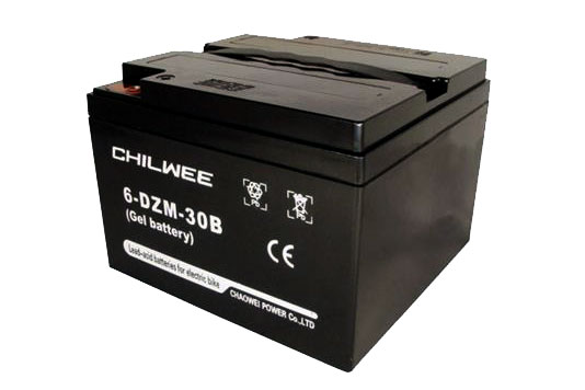 CWPower™ 12V30Ah VRLA GEL Battery