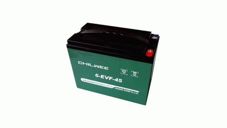 CWPower™ 12V45Ah VRLA GEL Battery