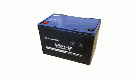 CWPower™ 12V60Ah VRLA GEL Battery