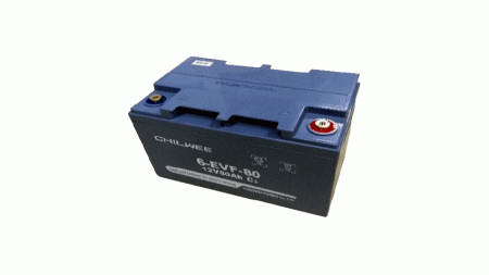 CWPower™ 12V80Ah VRLA GEL Battery